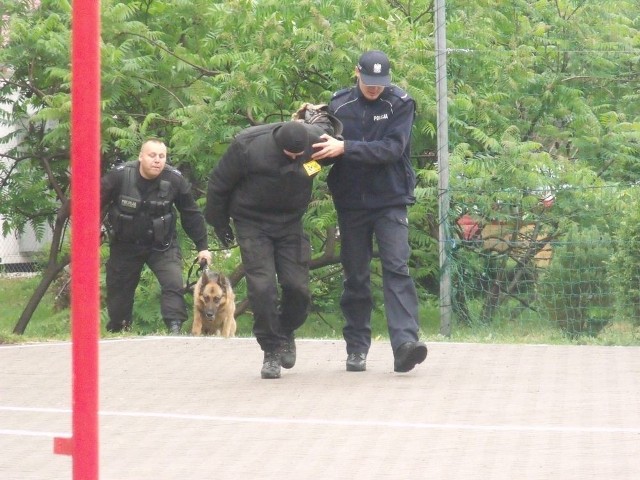 W akcji wziął udział także policyjny pies