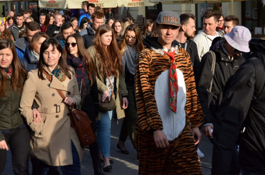 Juwenalia 2017: Studencki korowód przeszedł ulicami Lublina (ZDJĘCIA, WIDEO)