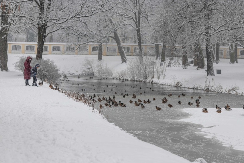 Pogoda w województwie podlaskim. Idą mrozy i śnieżyce!