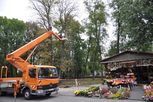 Wycinka drzew na kluczborskim cmentarzu.