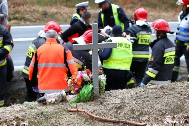 Wypadek w Stalowej Woli. Trzy osoby ranne w zderzeniu dwóch samochodów na drodze wojewódzkiej 871 [ZDJĘCIA]