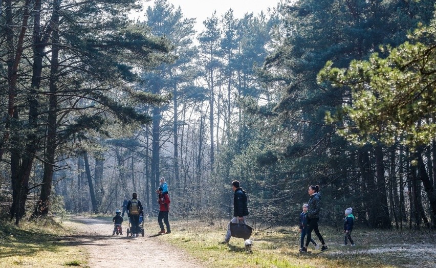 Wyspa Sobieszewska pełna ludzi. Wiosenna pogoda skusiła wielu na spacer nad morzem. Straż miejska z apelem o zachowanie zasad bezpieczeństwa