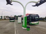 Nowa linia autobusowa w Lublinie. Połączy Czechów z Czubami. Wiemy kiedy autobusy wyjadą na trasę