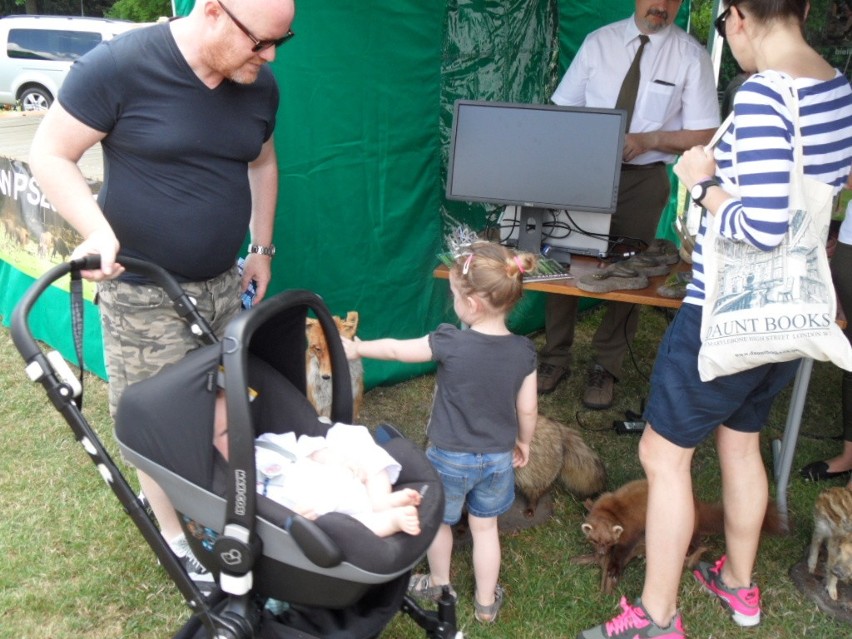 Leśny Piknik Rodzinny Ekoodpowiedzialnie 2015 w Katowicach