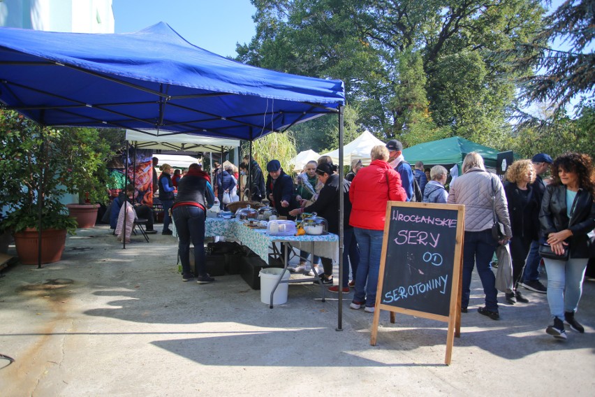 Dolnośląski Festiwal Dyni w ogrodzie botanicznym we...