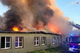 Pożar w Lędzinach. Dwaj nastolatkowie podpalili opuszczony budynek. Straty 2 miliony złotych