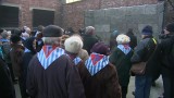 Oświęcim. Obchody 72. rocznicy wyzwolenia Auschwitz