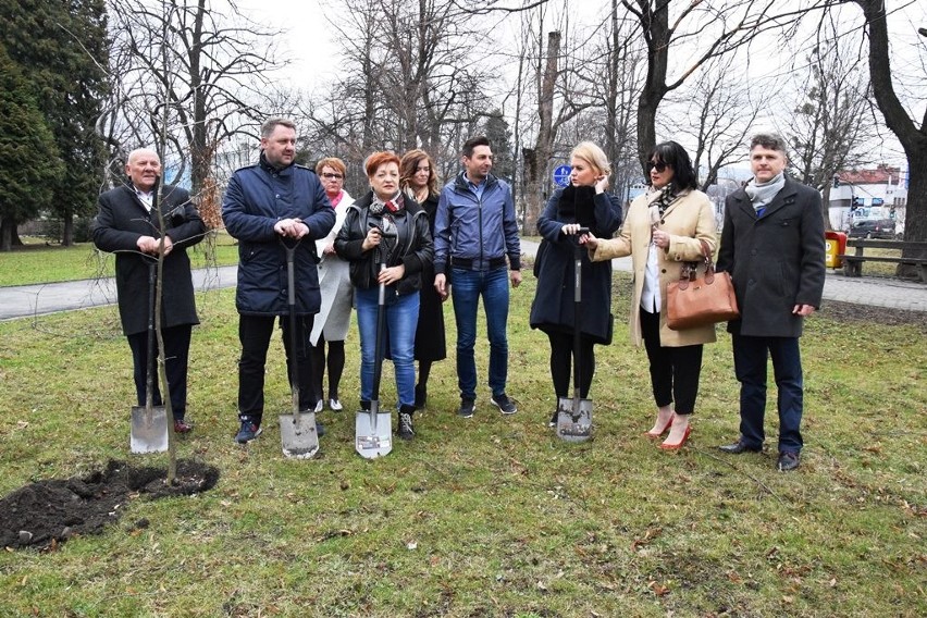 Bielscy radni zasadzili drzewa w Parku Włókniarzy