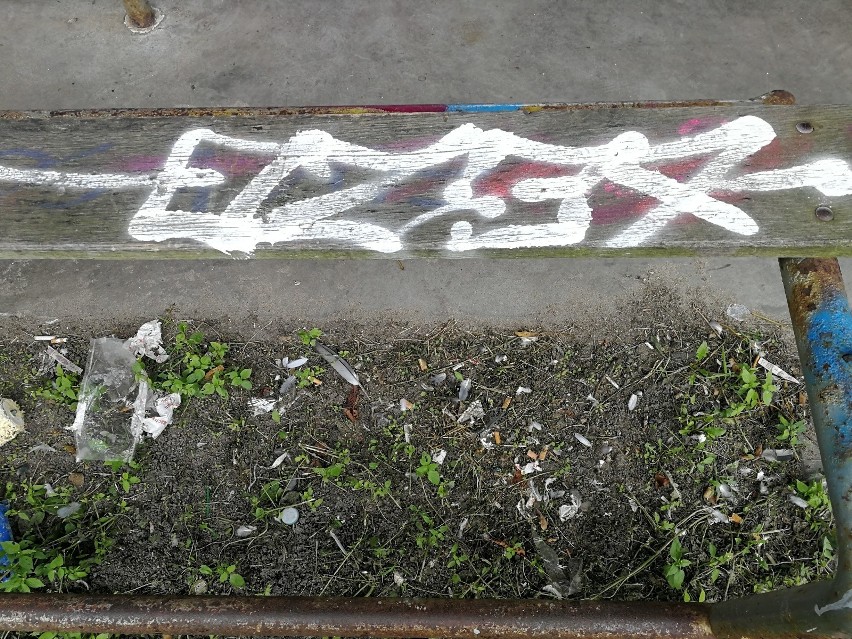 Toruń walczy z nielegalnym graffiti. Jak i ile chce na to wydać?