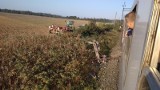 Pod Jezierzycami rolnik doprowadził do uszkodzenia pociągu TLK [19.09.2018]