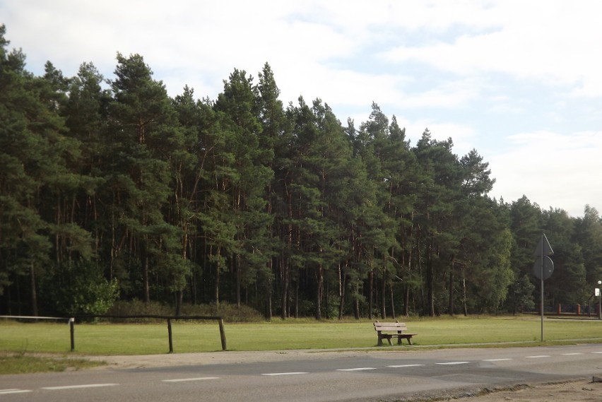 Władze miasta planowały przeznaczenie terenów leśnych przy...