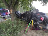Fatalny wypadek w Woli Soleckiej Pierwszej pod Lipskiem. Samochód z impetem uderzył w drzewo. Zobaczcie zdjęcia