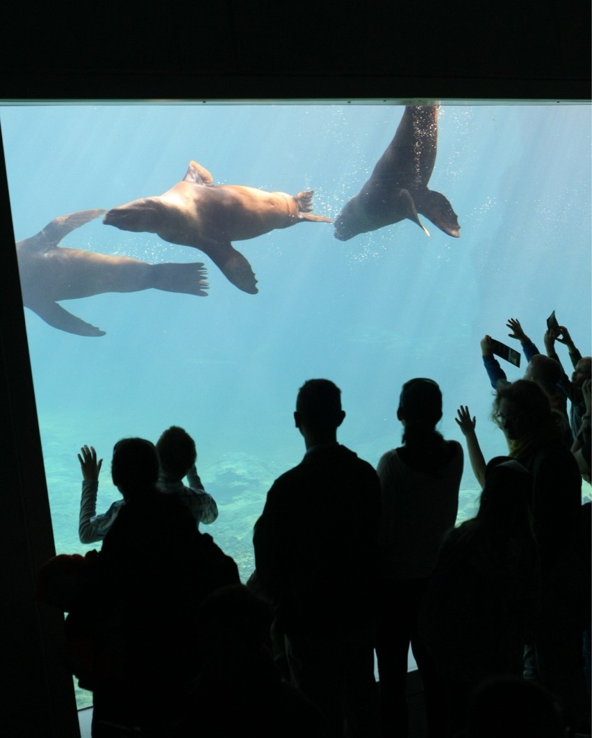 ZOO Wrocław Afrykarium (woj. dolnośląskie)