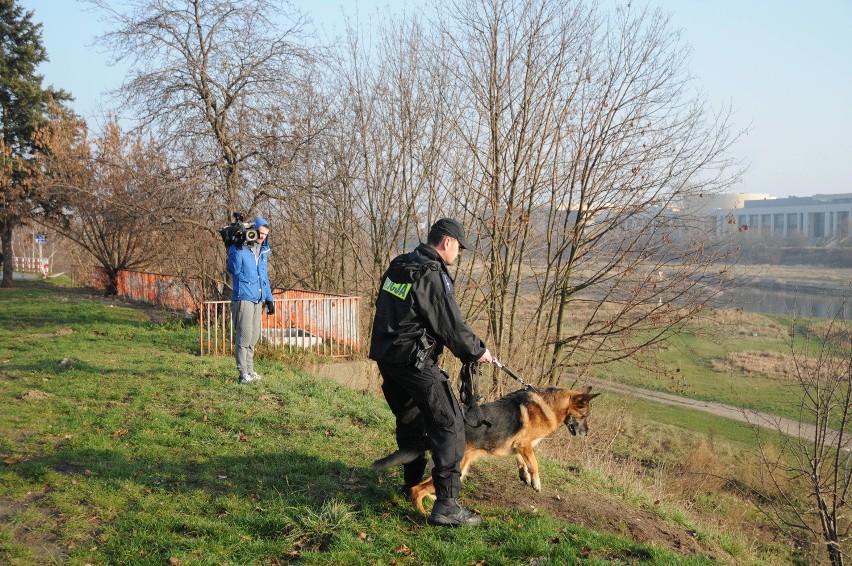 Poszukiwania Ewy Tylman nad Wartą