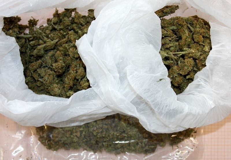 Funkcjonariusze zabezpieczyli blisko 200 gramów marihuany