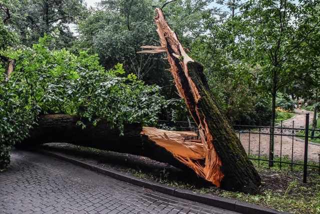 Według eksperta burze zapowiadane w piątek, 23 czerwca mogą być bardziej intensywne niż te, które zerwały dach w Pleszewie.