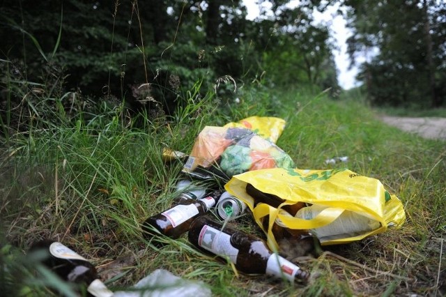 Śmieci, na które wczoraj nasz fotoreporter natknął się w lesie niedaleko osiedla Kuźniczka w Kędzierzynie-Koźlu. Takich nielegalnych wysypisk jest tu więcej.