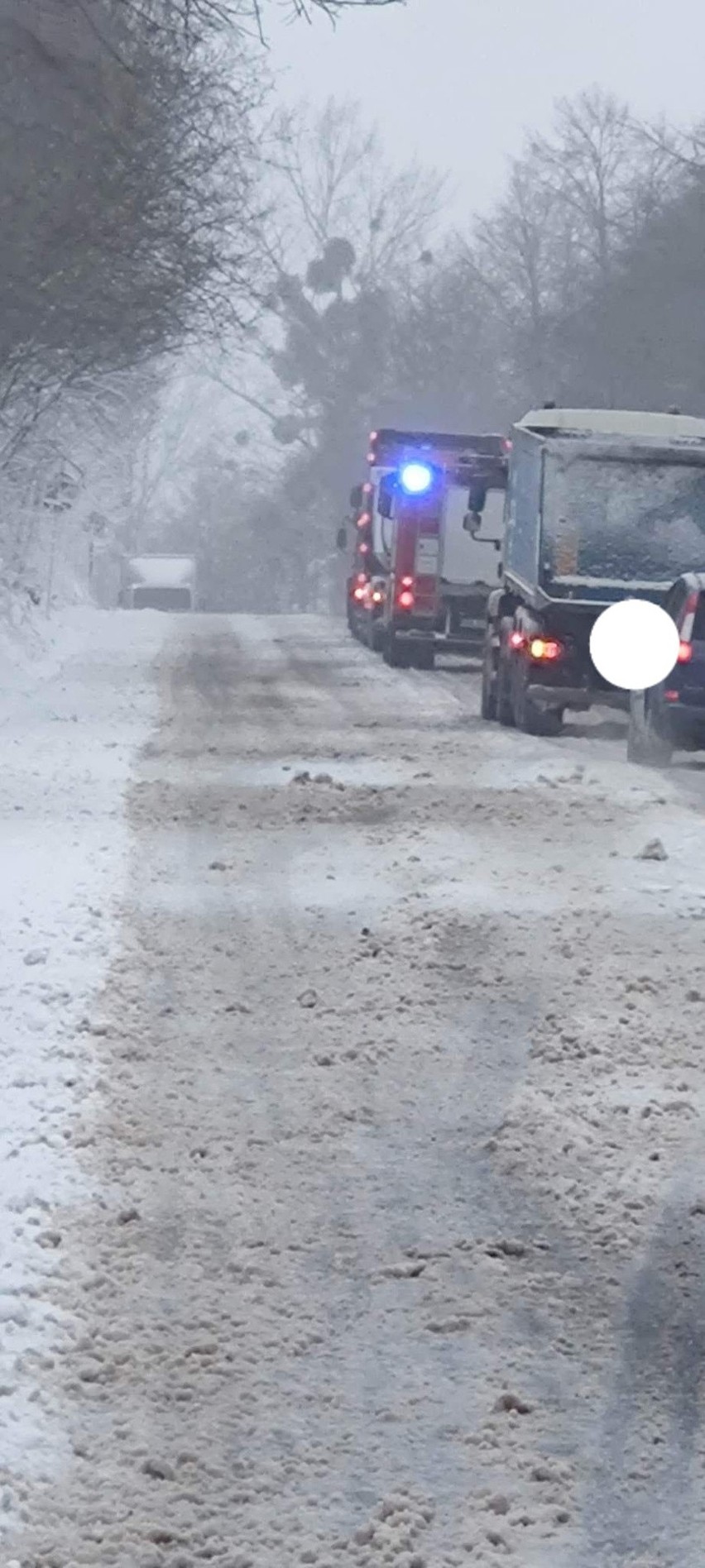 W powiecie gdańskim na DW226 strażacy interweniowali przy...