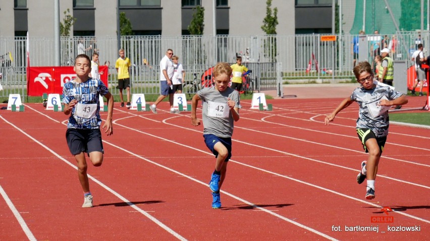 Lekkoatletyka. Odbyły się mistrzostwa województwa świętokrzyskiego do lat 16. Zobacz zdjęcia i sprawdź medalistów