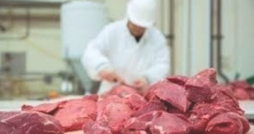 Podatek od mięsa? Krzysztof Jurgiel sprzeciwia się pomysłowi euroaktywistów, by w taki sposób walczyc z emisją CO2 