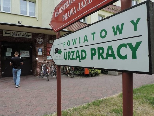 Chcesz odbyć staż zawodowy? Zajrzyj do pośredniaka w Chełmnie