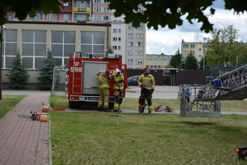 Ostrołęka. Drzewo runęło na plac zabaw przy Szkole Podstawowej nr 1. 7.07.2022