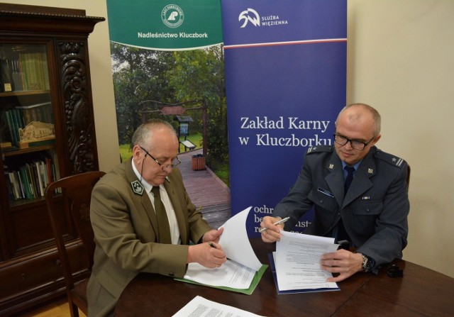 Major Tomasz Iwaniuk, dyrektor Zakładu Karnego podpisał niedawno porozumienie z Franciszkiem Kiepurą, nadleśniczym Nadleśnictwa Kluczbork w sprawie odpłatnego zatrudnienia osadzonych.