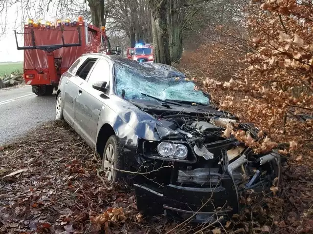 Do najpoważniejszego zdarzenia doszło na drodze wojewódzkiej nr 206