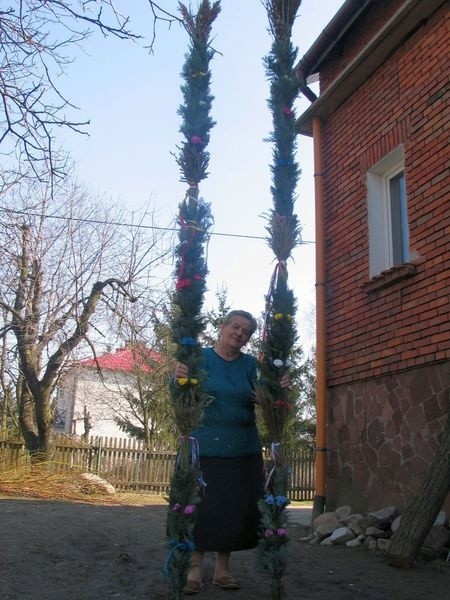 Czterometrowe palmy wykonane przez Annę Rzeszut, lasowiaczkę z Baranowa Sandomierskiego, zostaną jutro rano zaniesione do miejscowego kościoła.