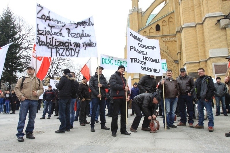 Syreny na ul. Piotrkowskiej. Hodowcy trzody chlewnej protestują przeciwko cenom wieprzowiny [FILM]