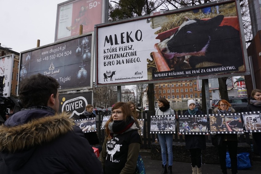 Od godziny 11 w niedzielę, 10 lutego na placu Wiosny Ludów,...