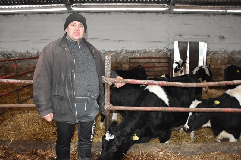 Krowy w Lińsku mają szansę na dłuższe życie, bo tam wydajność nie jest najważniejsza [zdjęcia]