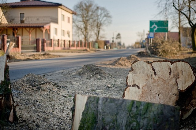 Na dalszy odcinek drogi trzeba jeszcze poczekać, ale drzewa już wycięto. Dłużej jeszcze poczekamy pewno na wiadukt nad torami w Pruszczu