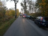 Kruklanki. Wypadek w powiecie giżyckim. Kobieta uderzyła w drzewo, bo tak jej wskazała nawigacja [ZDJĘCIA]