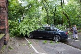 Drzewo zniszczyło auto. Kto ponosi odpowiedzialność za szkodę? Czy dostaniemy odszkodowanie? 