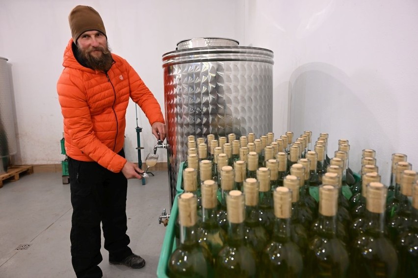 Młode wino z Winnicy Carolus w miejscowości Szczeka w powiecie staszowskim już rozlane do butelek (WIDEO, ZDJĘCIA)