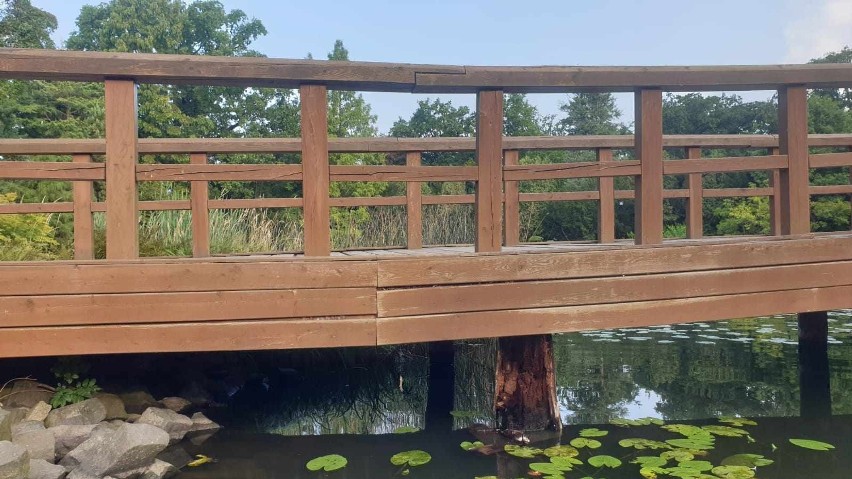 Pękła podpora drewnianego mostu w ogrodzie Japońskim