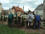 Wielki Mędromierz. Będzie pięknie na urodziny; we wsi robią porządki