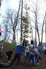 Osieczany. Na Kopcu Piłsudskiego od piątku rośnie dąb Józef [WIDEO]