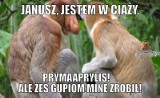 Dziś Prima Aprilis. Zobacz najśmieszniejsze memy 