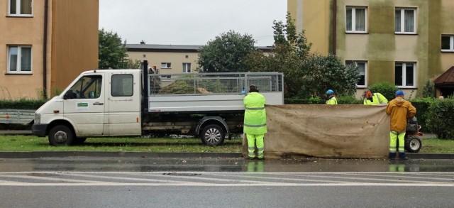 Drzewo zostało wycięte w poniedziałek, a we wtorek usunięto r&oacute;wnież pozostałości potężnego pnia, kt&oacute;ry po nim pozostał