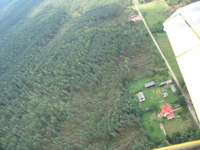 Jak ucierpiały ostrowieckie lasy widać na zdjęciach lotniczych. Wichura kładła tu drzewa połaciami.