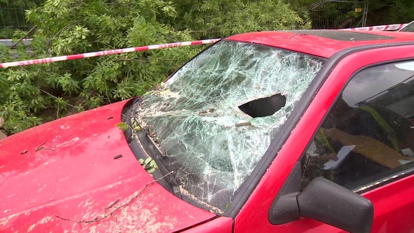Drzewo zwaliło się na zaparkowane auta przy Tuwima i Wydawniczej [FILM, zdjęcia]