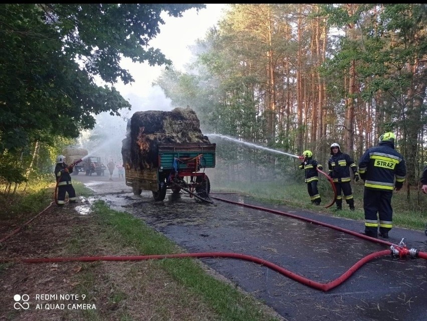 Osiem drużyn męskich, jedna żeńska i trzy młodzieżowe wzięły...