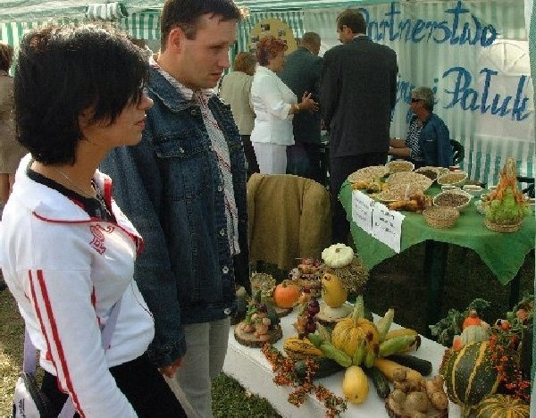 Tak promowały się w Minikowie  organizacje pozarządowe z powiatu  nakielskiego.