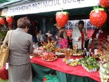 Święto truskawki w Górze Puławskiej. Na festynie były kulinarne hity truskawkowe i dużo zabawy (ZDJĘCIA)