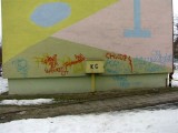 Za graffiti zapłacą 9 tys. złotych. Trzech mieszkańców Ostrołęki zatrzymała policja (zdjęcia) 