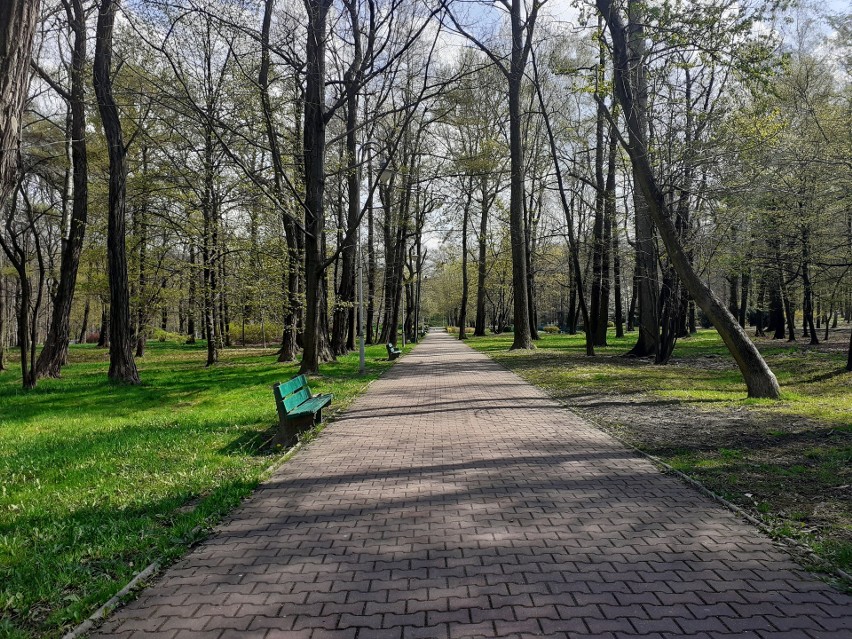 Wiosna zawitała do Parku Kościuszki w Katowicach....