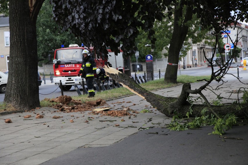 Silny wiatr w Łodzi uszkodził drzewa