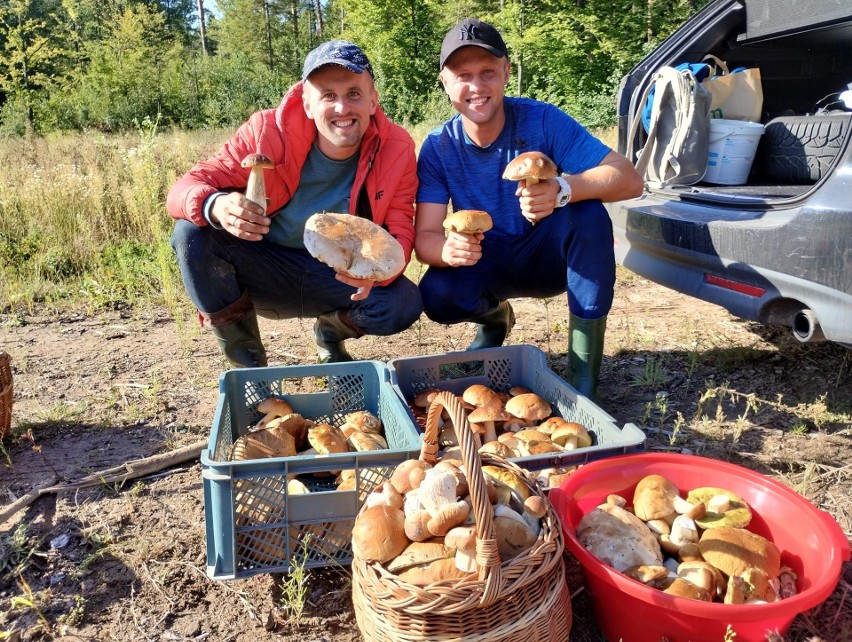 Pan Konrad pochwalił się fantastycznymi zbiorami z okolic...